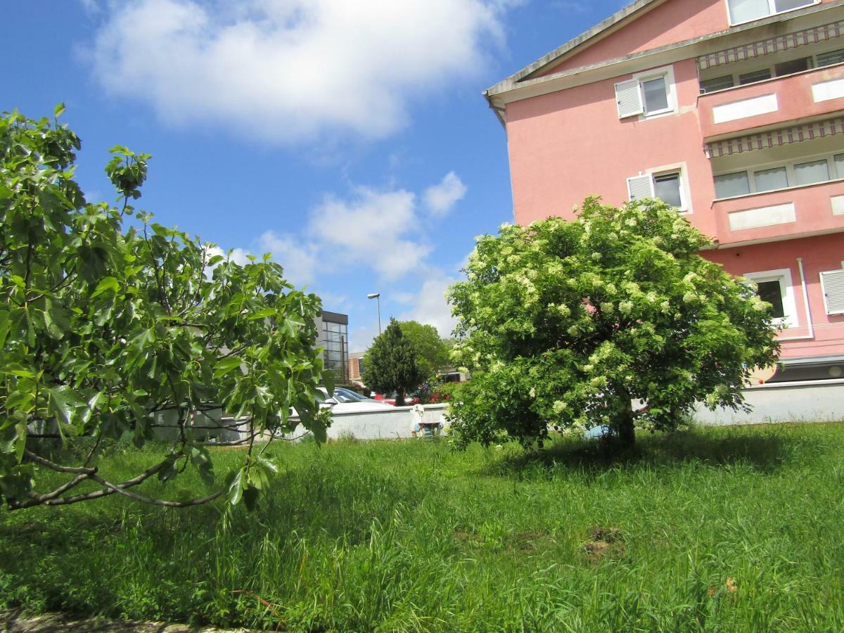 Green garden apartments Rovinj Buitenkant foto